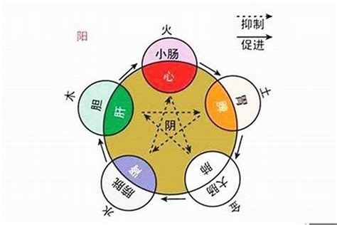 春五行|春字的五行属性，春字的五行属性是什么意思